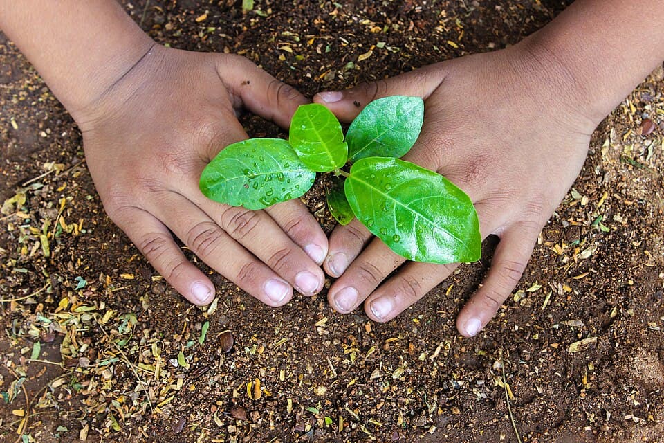 Agriculture